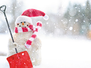 Winter wonderland themafeest op je eigen locatie Winter wonderland themafeest op je eigen locatie
